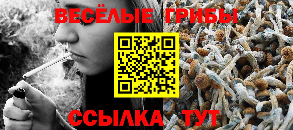 Псилоцибиновые грибы Cubensis Трёхгорный