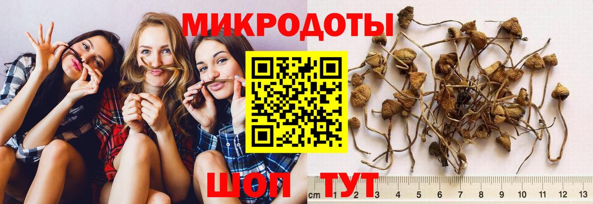 Галлюциногенные грибы прущие грибы  Псилоцибиновые грибы прущие грибы  Вход с VPN  Трёхгорный 